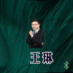 王琳